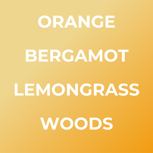 SummerCar Freshener set