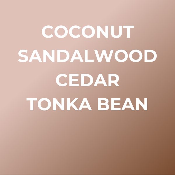 SummerCar Freshener set