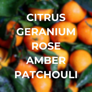 Night at the disco car diffuser scent notes