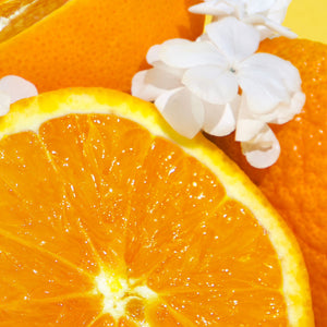 bight spot delano hotel cirtus woody summer fragrance scent