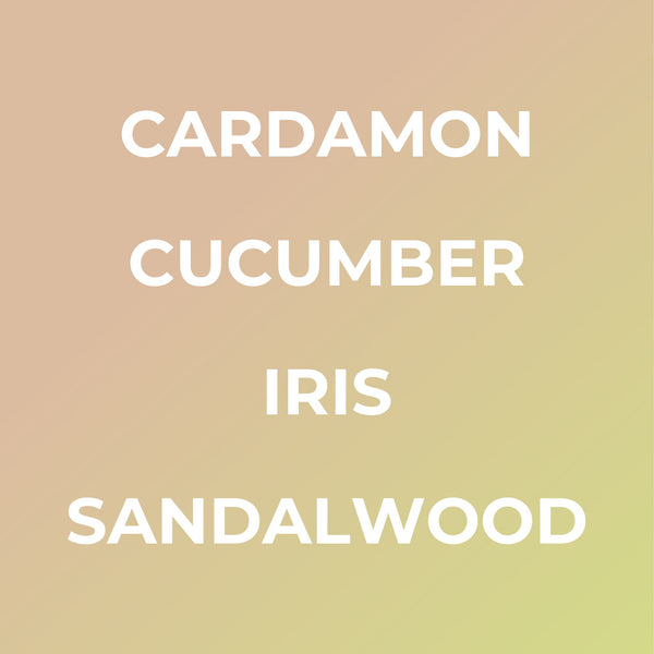 bright spot. santal 33 le labo dupe scent fragrance