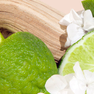 bright spot bohemia le labo another 13 scent