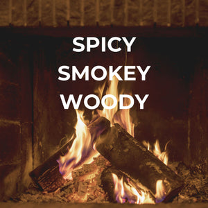 bright spot fireside car freshie cozy winter scent stocking stuffer