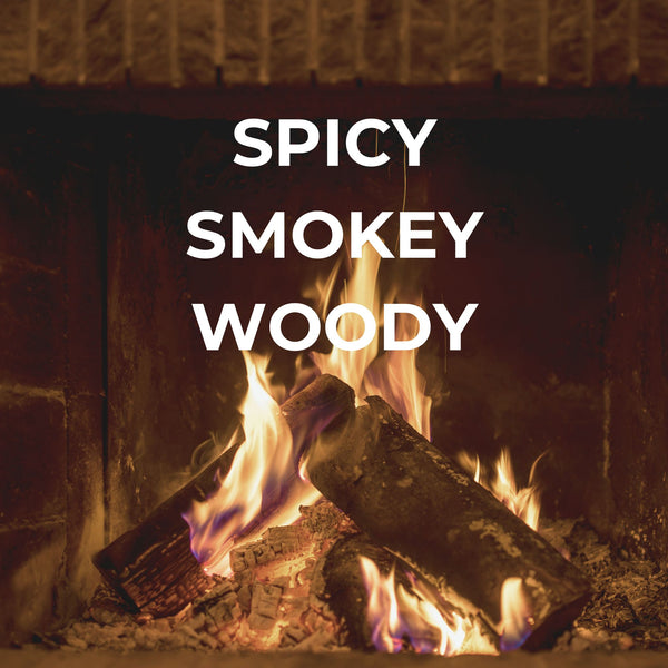 bright spot fireside car freshie cozy winter scent stocking stuffer