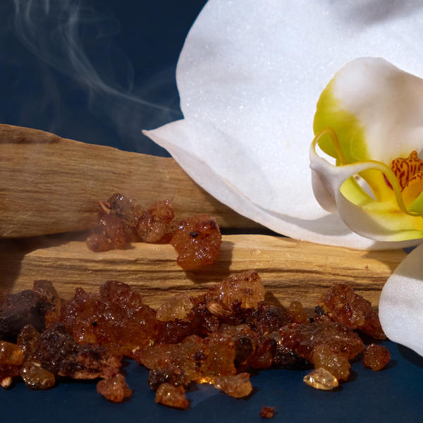 bright spot car diffuser clean fragrance amber mahogany scent