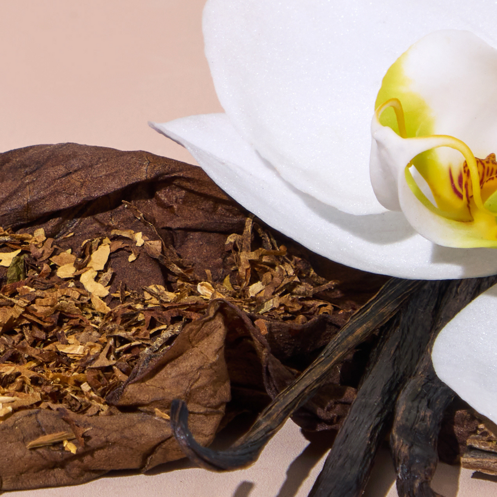 tobacco cave Round Spring Cavern for Families Cigar Smoking Lounge Highlands Ranch