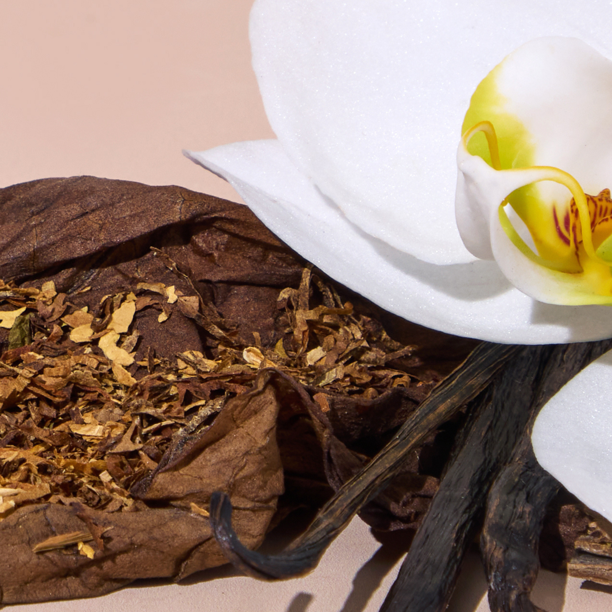investing in tobacco companies Major Tobacco Companies